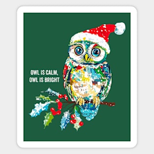Cute Funny Owl  Classic Christmas Carol Birds Magnet